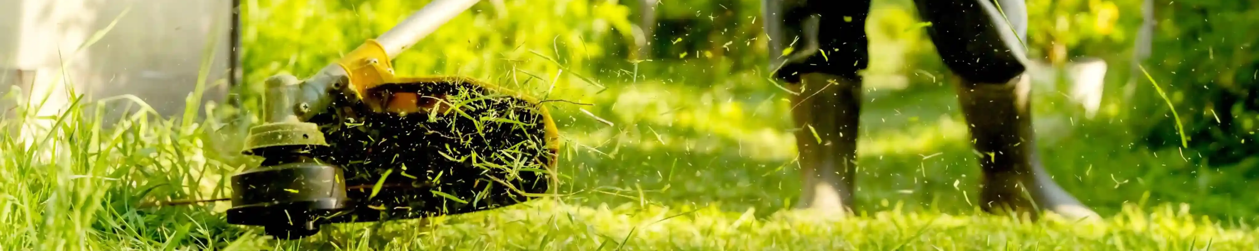 Serviços de jardinagem